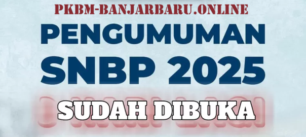 Mengakses Pengumuman SNBP 2025 Saat Website Penuh